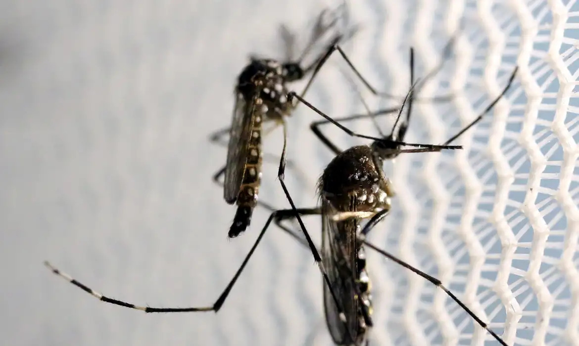 Mulher de 20 anos morre de dengue em Mogi das Cruzes