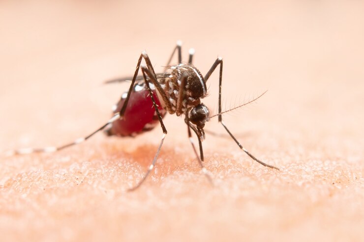 Região Alto Tietê ultrapassa 10 mil casos de dengue