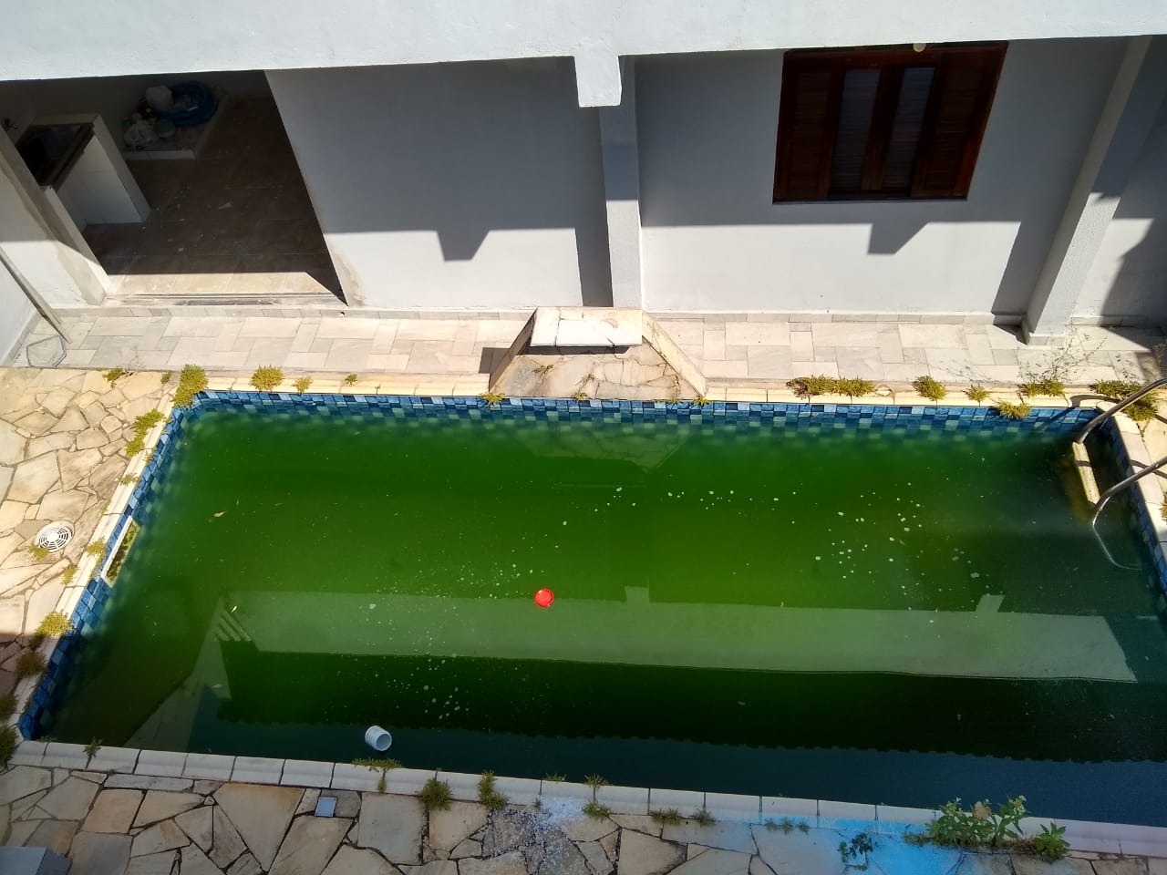 Piscina abandonada serve de criadouro de dengue e preocupa moradores