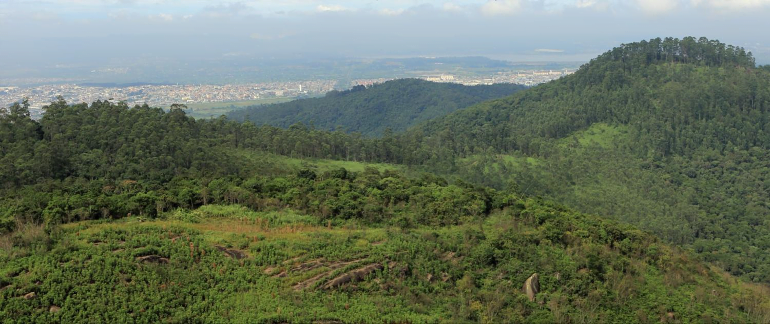 Embu S.A e o trato sustentável de recursos indispensáveis à vida humana