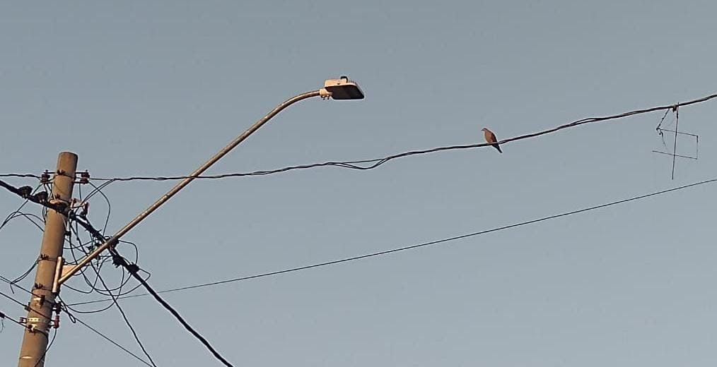 Mais de 78 mil pessoas são afetadas por acidentes de pipa na rede elétrica no 1° semestre