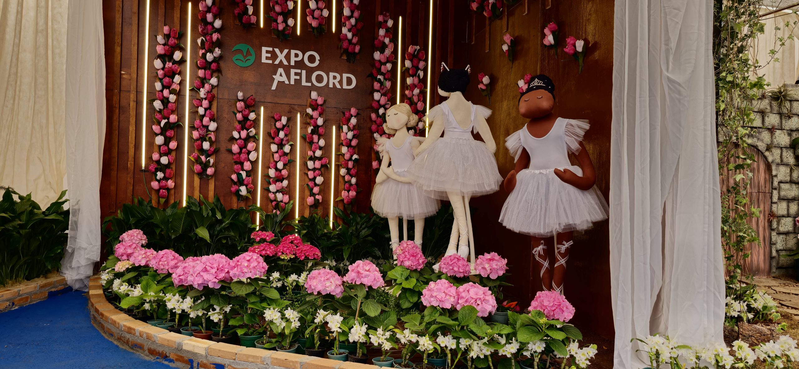 Expo Aflord de Arujá começa neste final de semana com exposição e venda de flores, shows e gastronomia