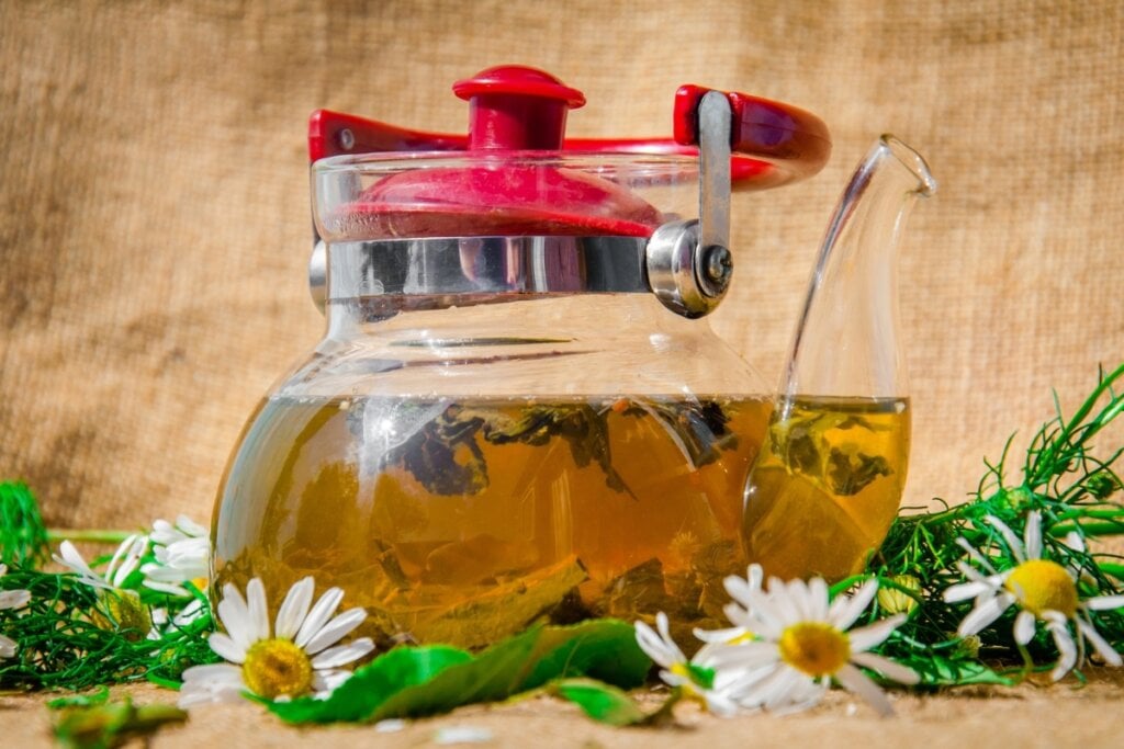 Chaleira com chá de cavalinha com camomila em uma mesa de madeira com folhas de cavalinha e camomila