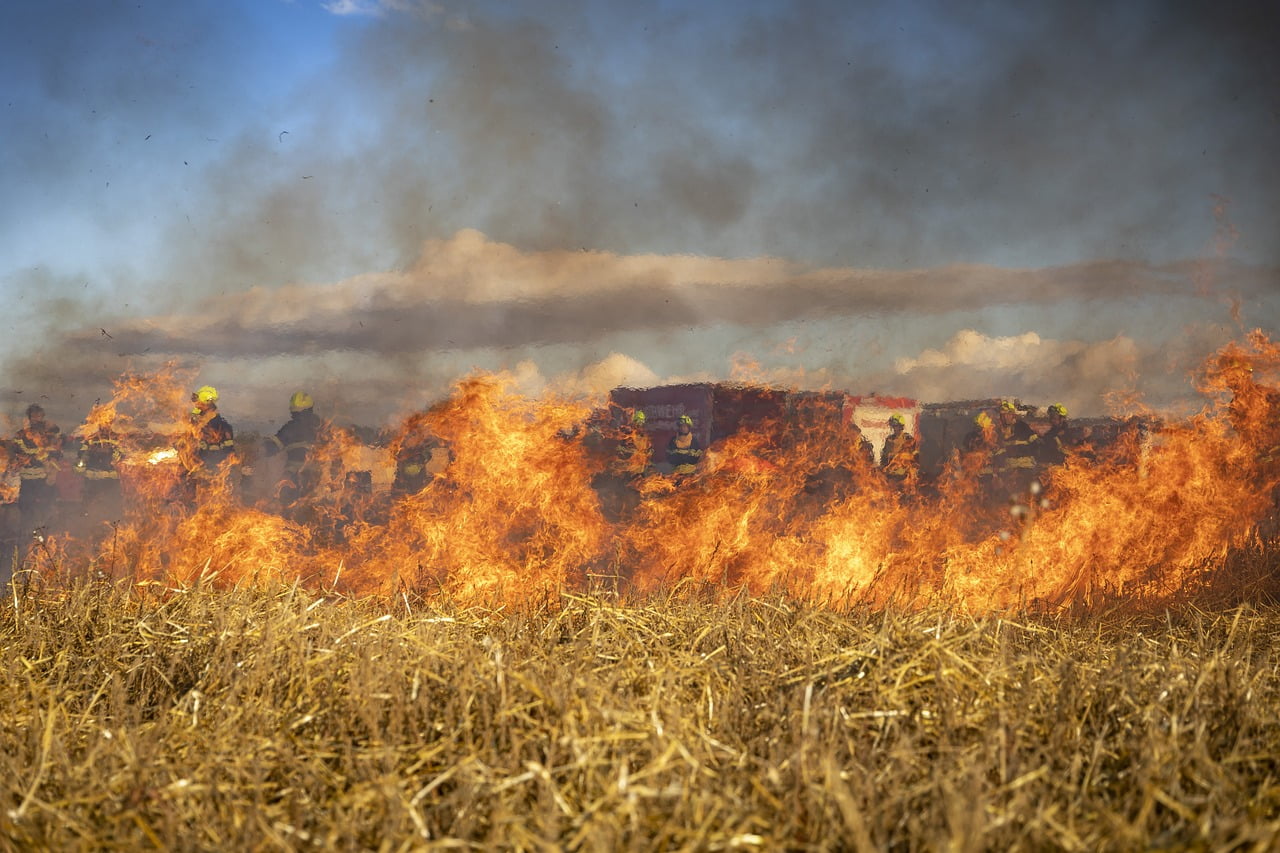 Situação de emergência por incêndio florestal cresceu 354% em agosto