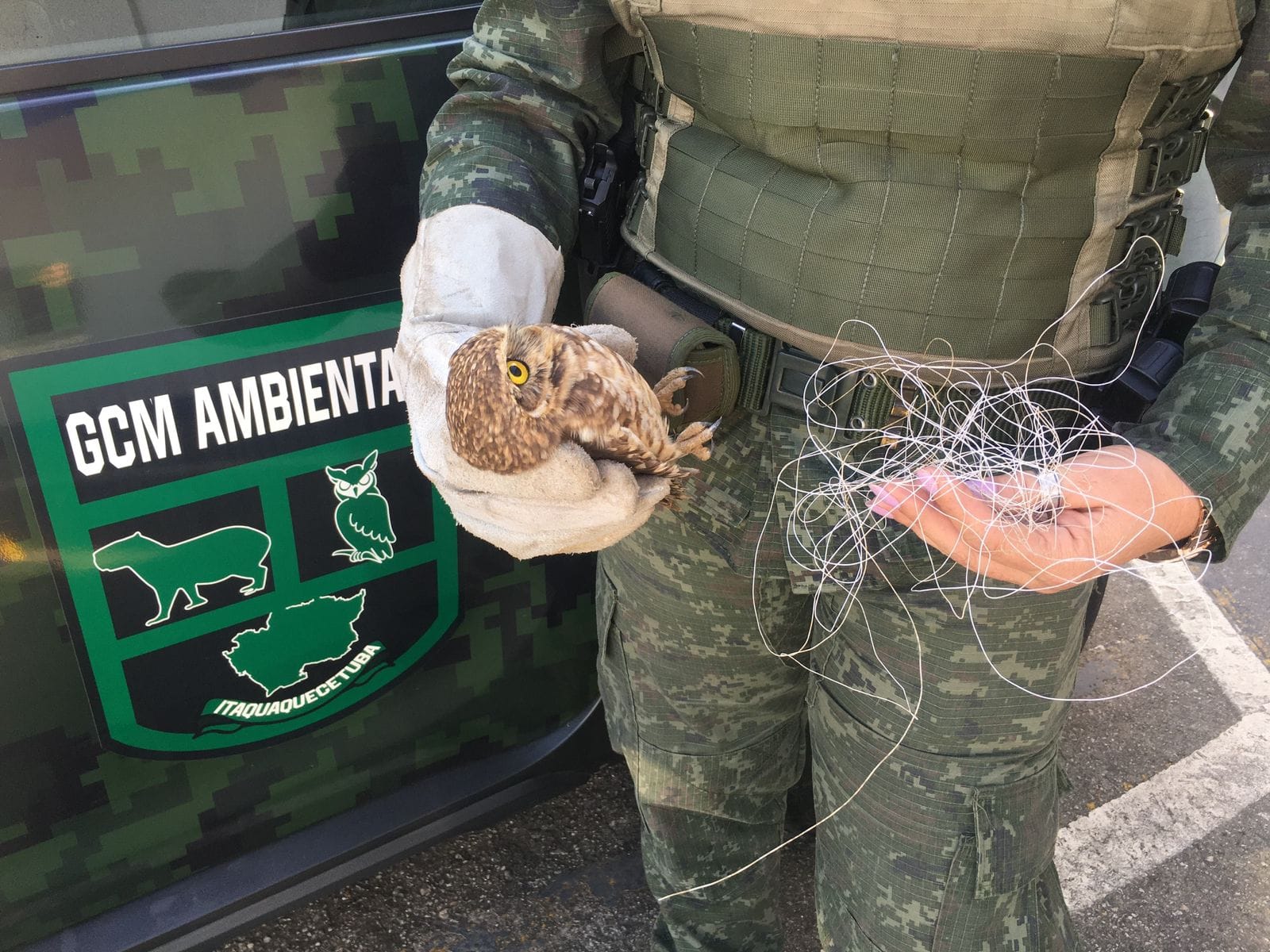 Número de animais resgatados pela Guarda Ambiental de Itaquá cresce 40%