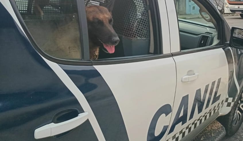GCM de Mogi prende suspeitos em ocorrências de motocicleta adulterada e soltura de balão