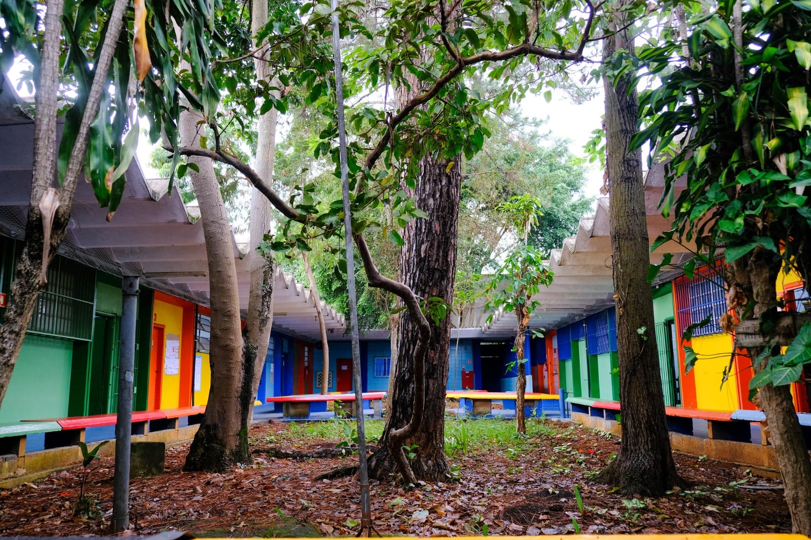 Educação de SP libera R$ 10,2 milhões para pintura de escolas no Alto Tietê