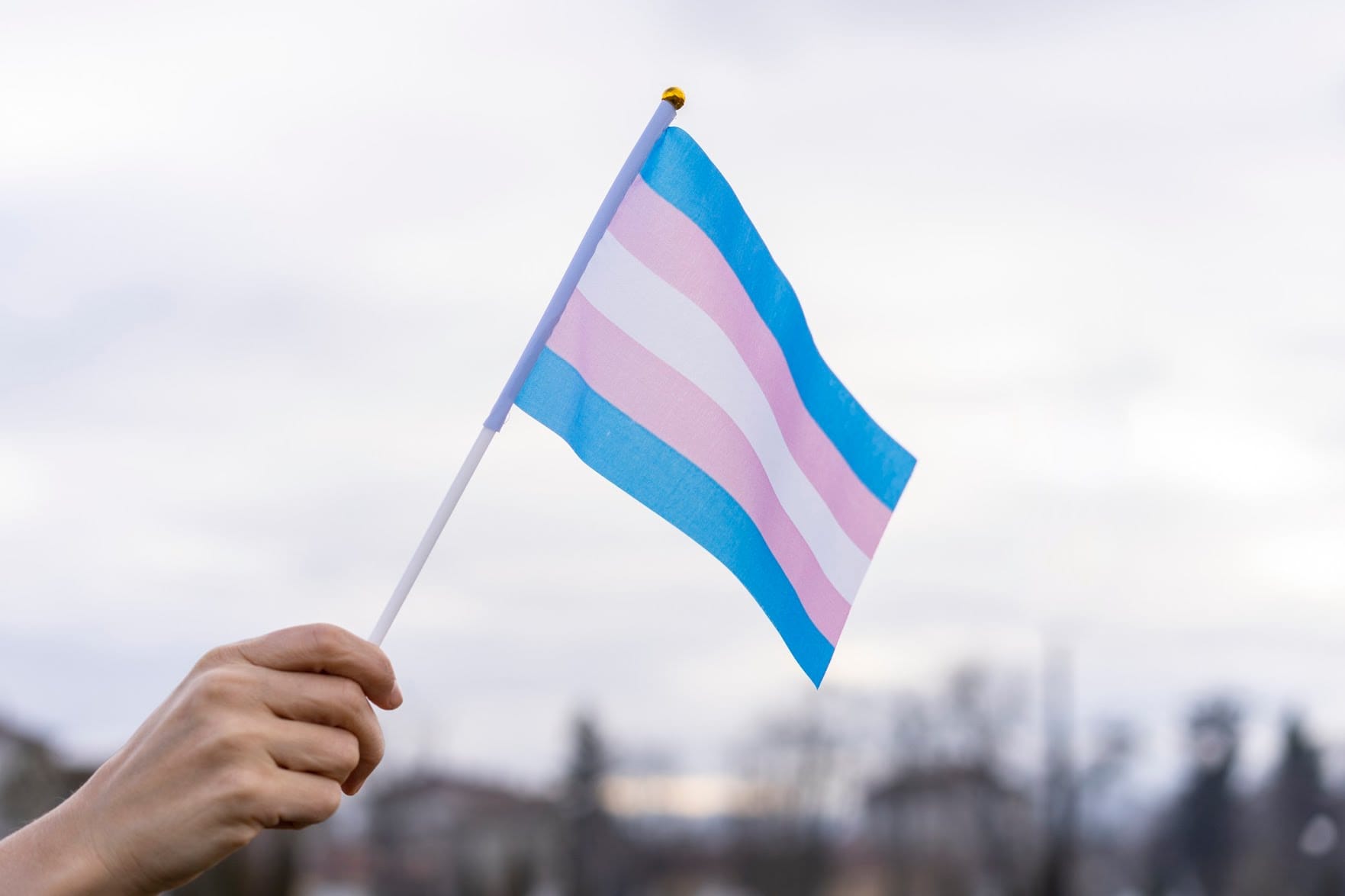 Fórum LGBT+ de Mogi realiza encontro para debater combate à transfobia
