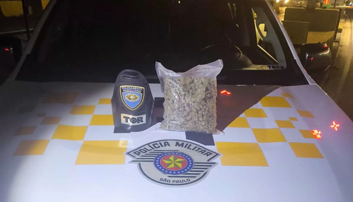 Polícia Rodoviária prende homem com maconha hidropônica na Ayrton Senna, em Guararema