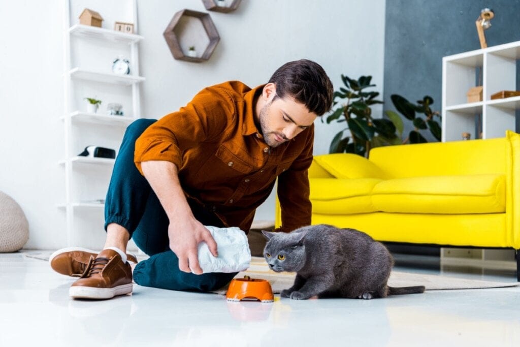 7 causas da queda de pelos em cachorros e gatos 