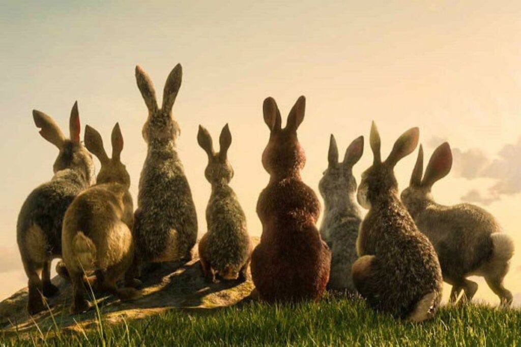 Capa do filme "Em Busca de Watership Down"
