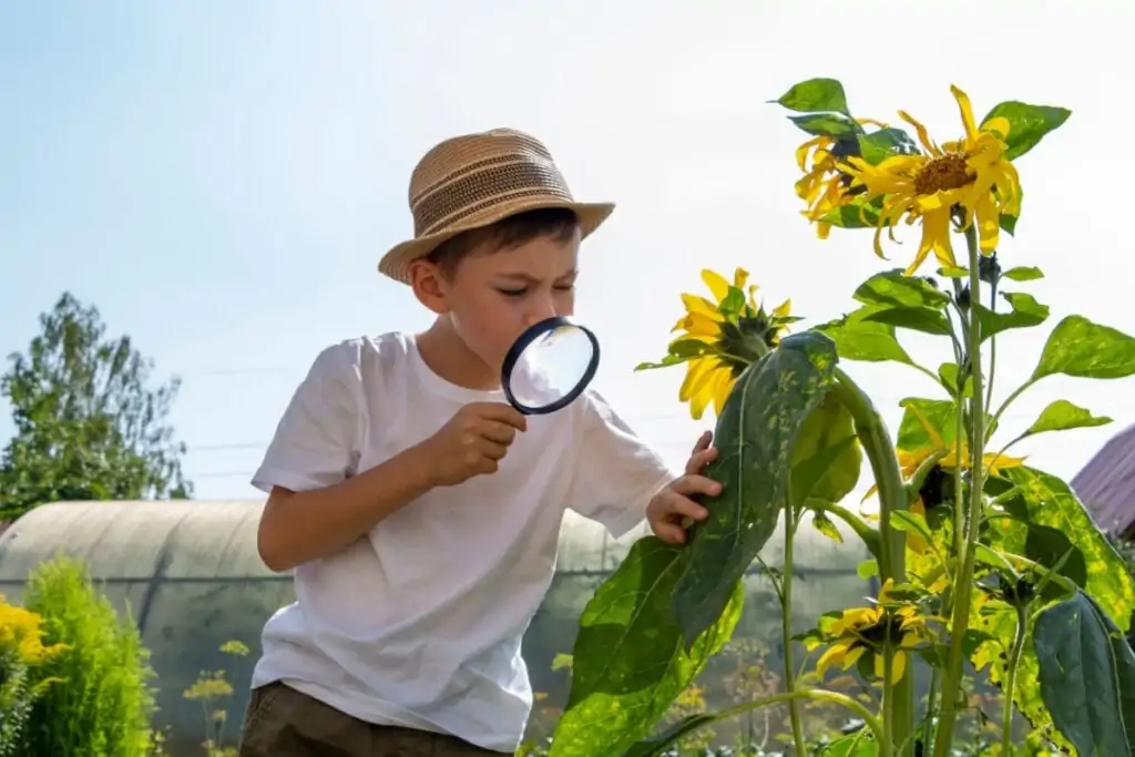 5 dicas para incentivar o contato das crianças com a natureza