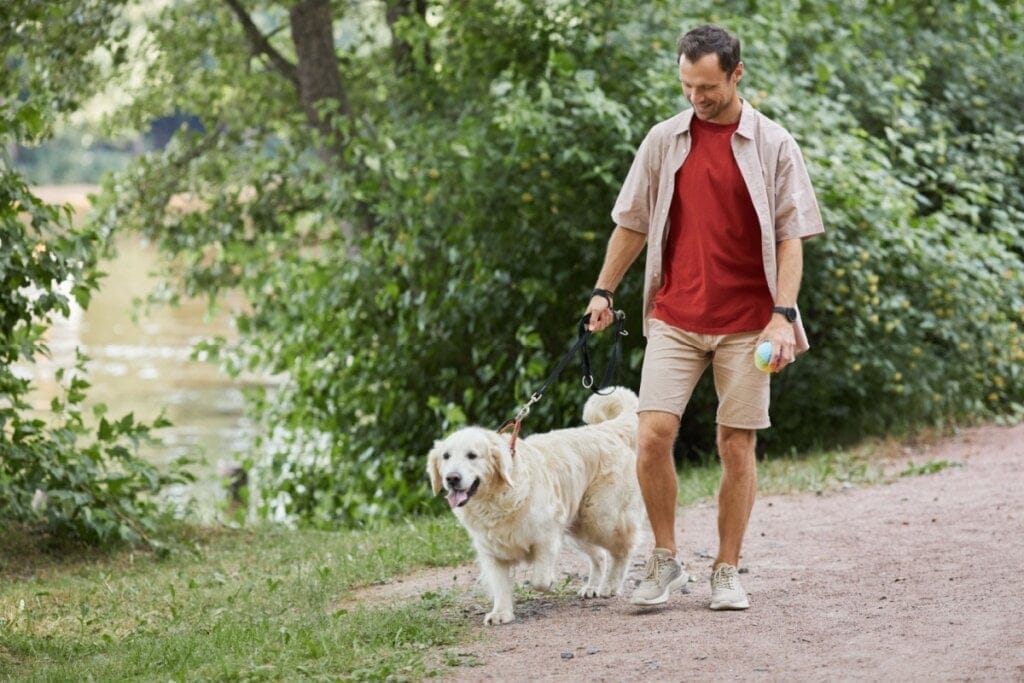 Homem de camisa e bermuda e com brinquedo na mão levando cachorro para passear no parque