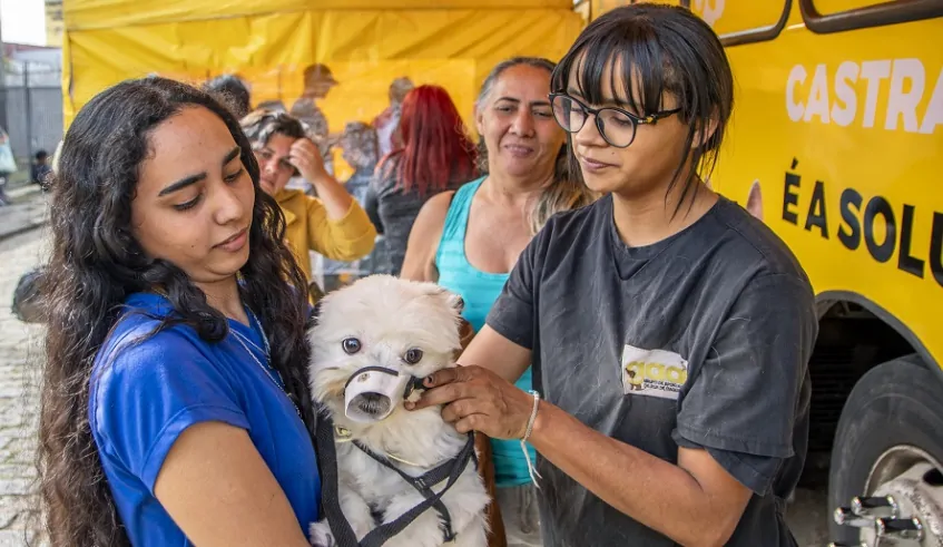Inscrição para mutirão de castração de pets em Jundiapeba acontece nesta semana
