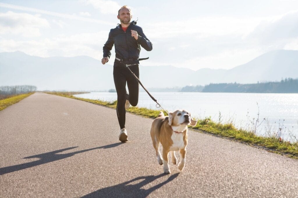 7 atividades físicas para praticar com o cachorro 