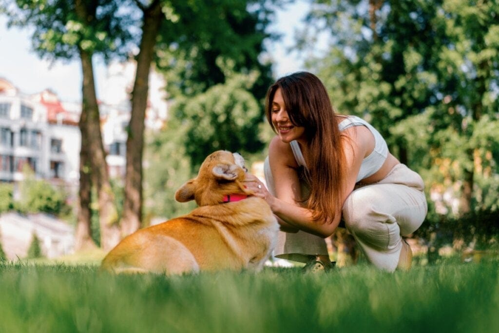 Mulher agachada em um parque fazendo carinho e olhando o rosto de um cachorro deitado na grama