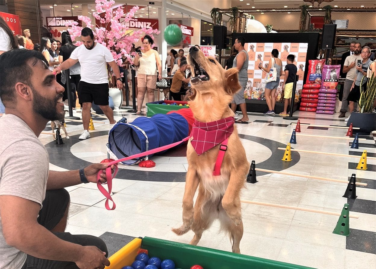 Shopping em Suzano realiza desfile pet com temática junina