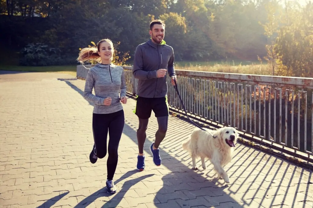 8 dicas para começar a praticar corrida com o cachorro