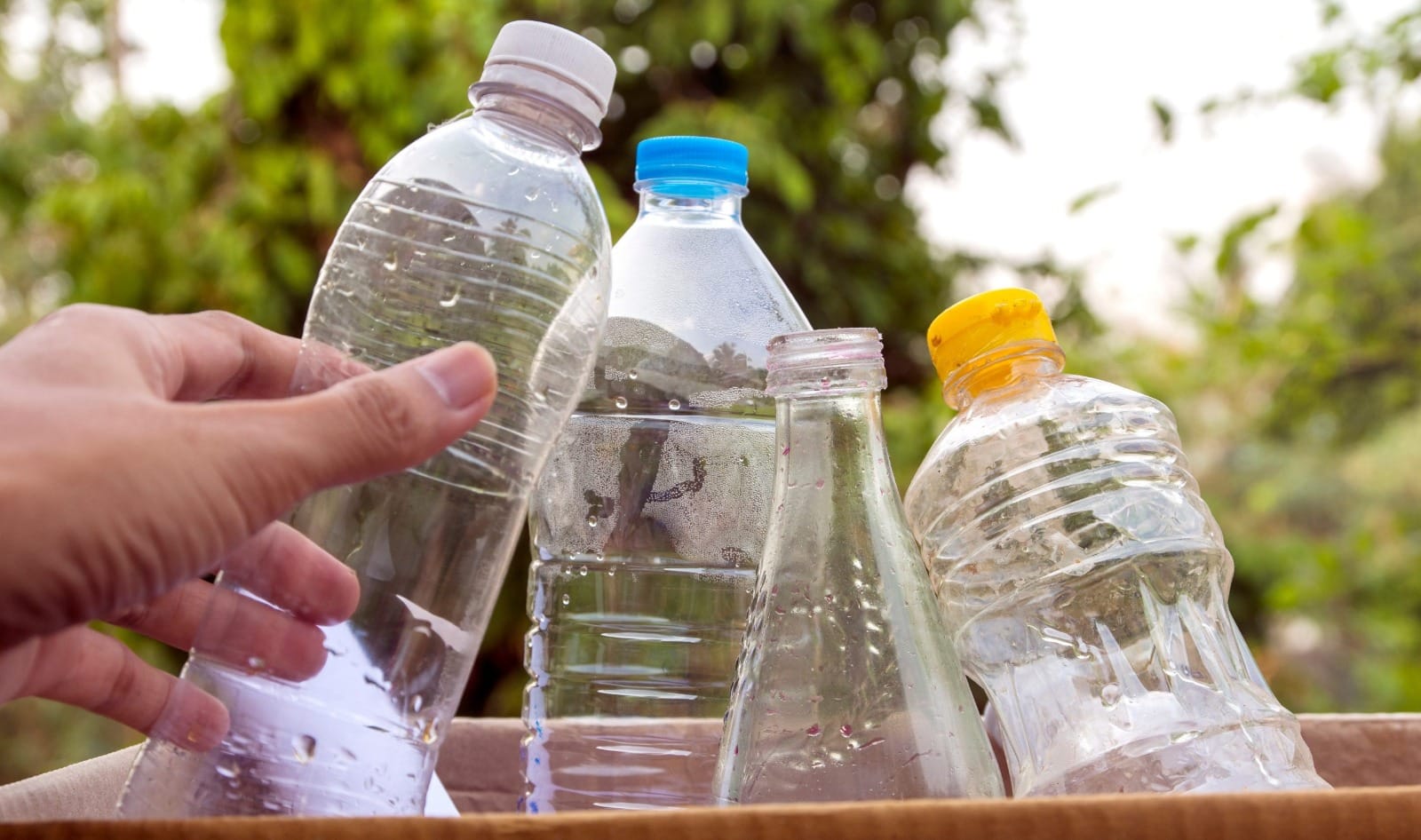 Itaquá arrecada garrafas PET para oficinas de ecobrinquedos; veja onde doar