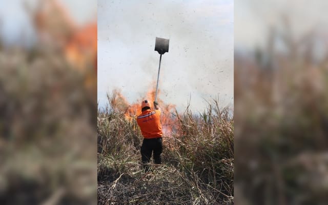 Vídeo: Incêndio atinge vegetação em Itaquaquecetuba