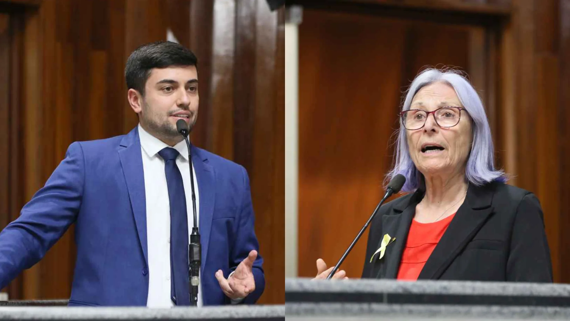 Com manifestantes no plenário, Lintz se desculpa e Inês pede adoção de medidas disciplinares