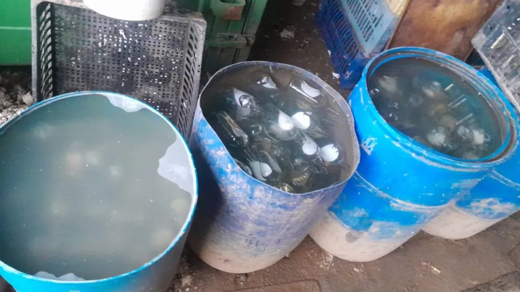 Garrafas estavam sendo lavadas | Divulgação