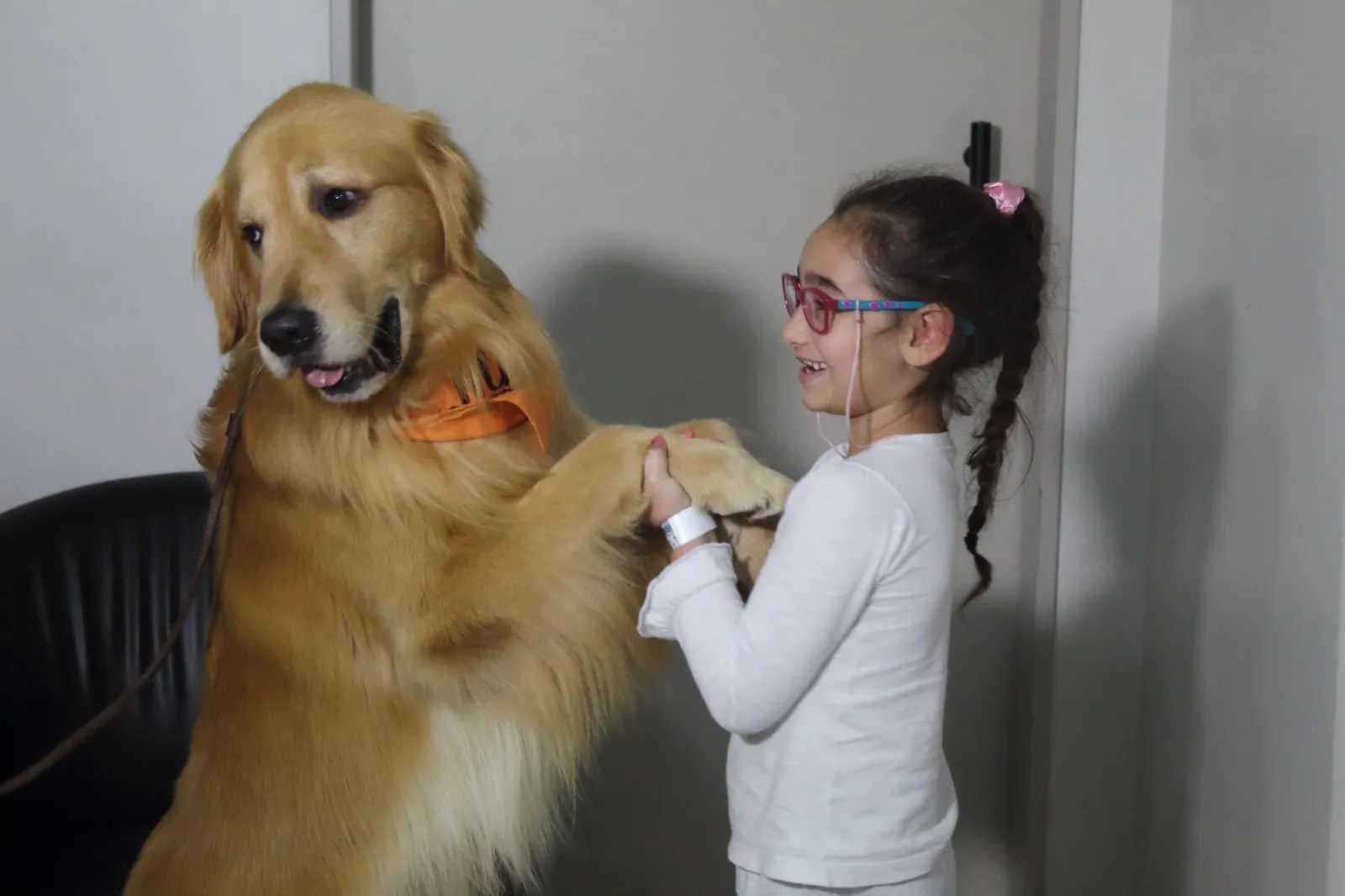 Dia das Crianças no Hospital Santana reúne afeto, arte e amor em quatro patas