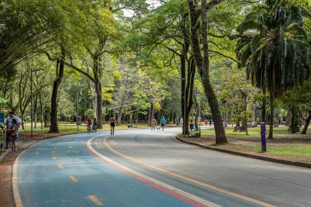 5 rotas de bike para aproveitar a primavera no Brasil