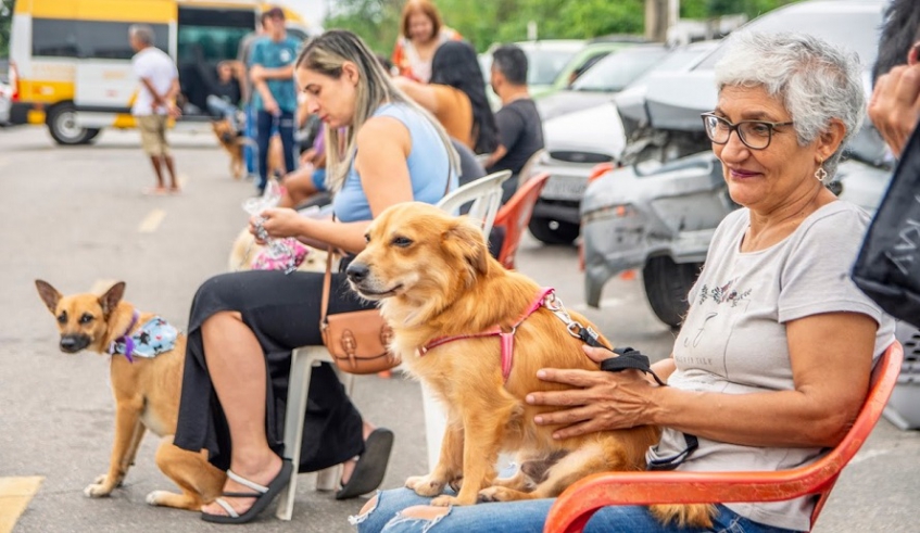 Mogi das Cruzes abre inscrições para castração gratuita em Jundiapeba nesta terça-feira (25)