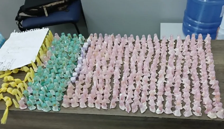 Mais de 1,2 mil porções de drogas são apreendidas em operação da GCM de Mogi das Cruzes