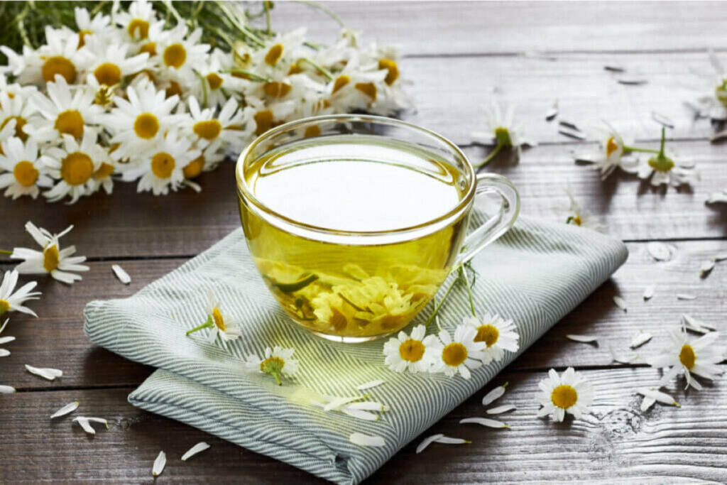 Plantas medicinais: 15 opções para utilizar em chás
