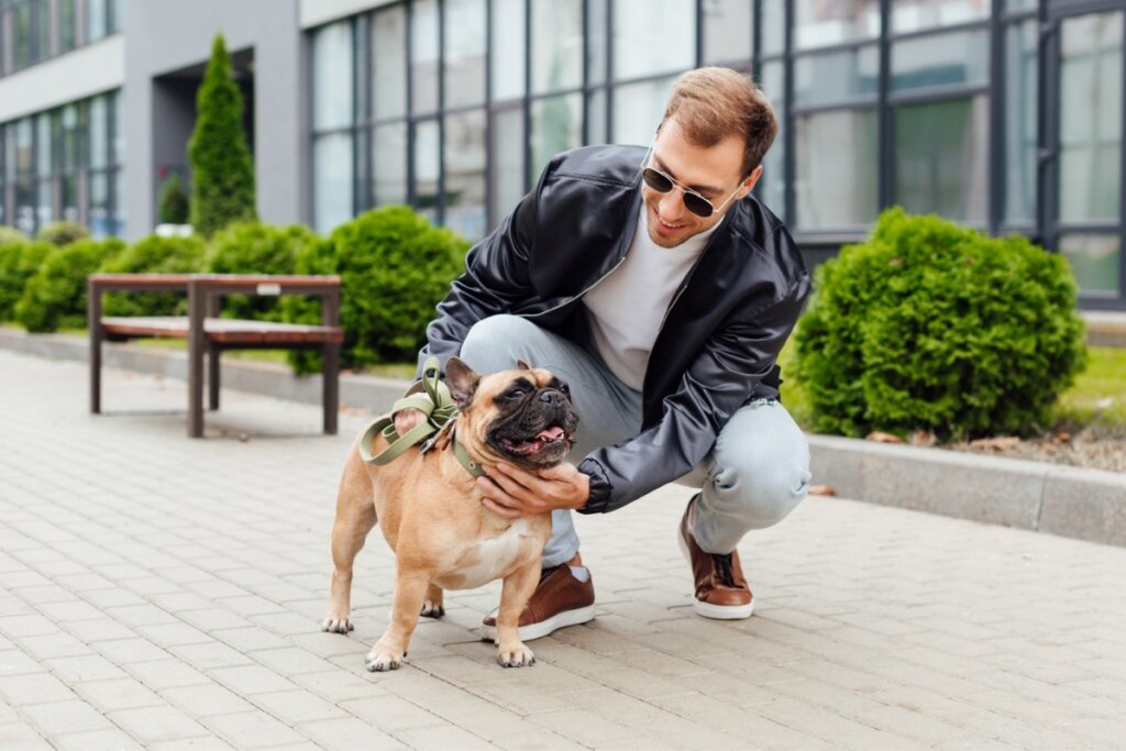 Seu cachorro é tímido? Veja 7 dicas para torná-lo mais sociável 