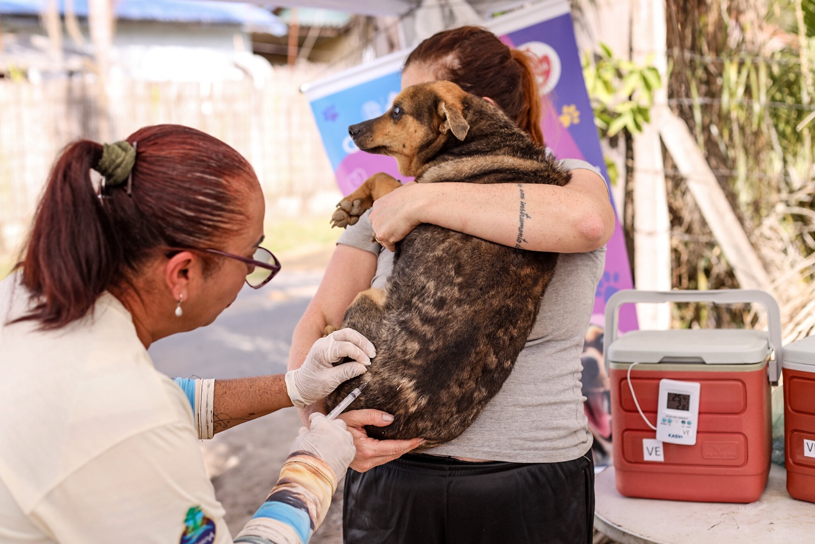 Guararema realiza ação gratuita de vacinação antirrábica nesta sexta-feira (12)