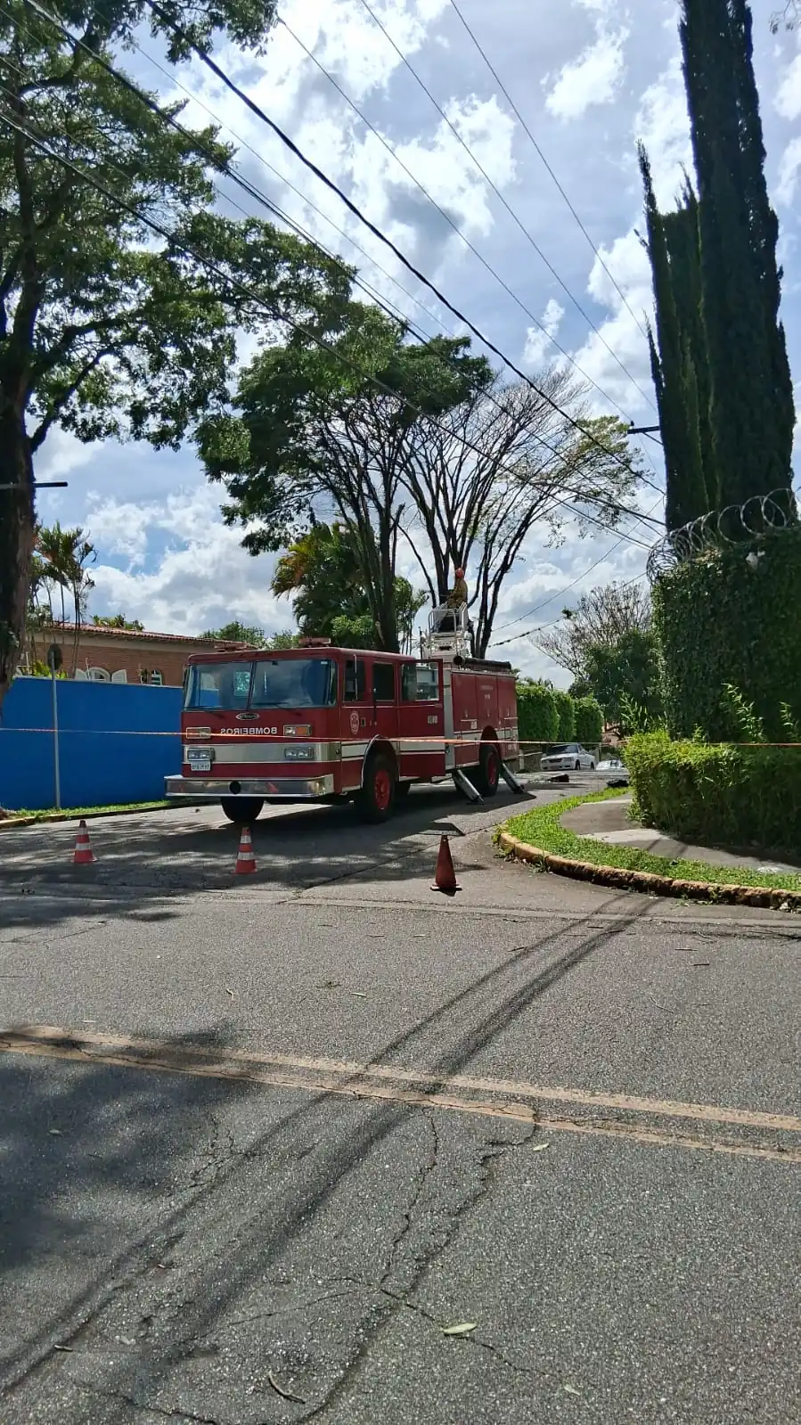 Árvore atinge rede elétrica de rua em Mogi das Cruzes após ventania