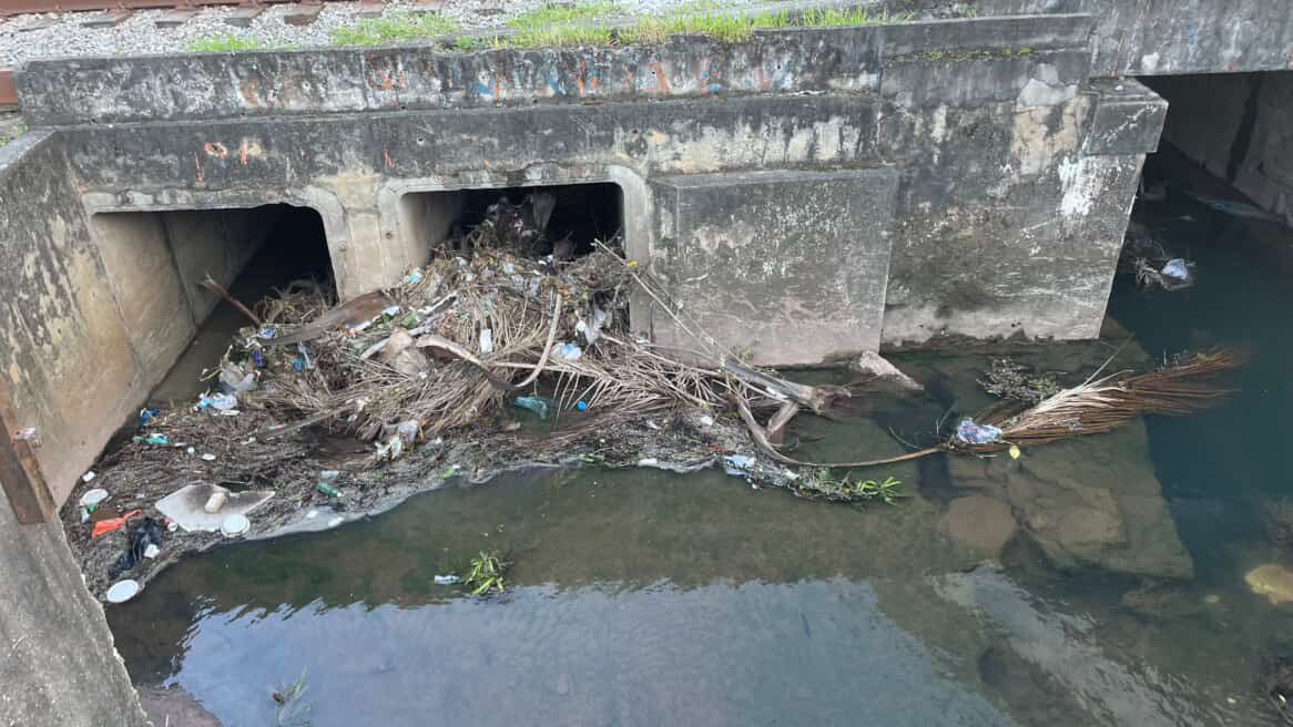 Morador flagra resíduos em córrego de Brás Cubas após conclusão de serviços de limpeza