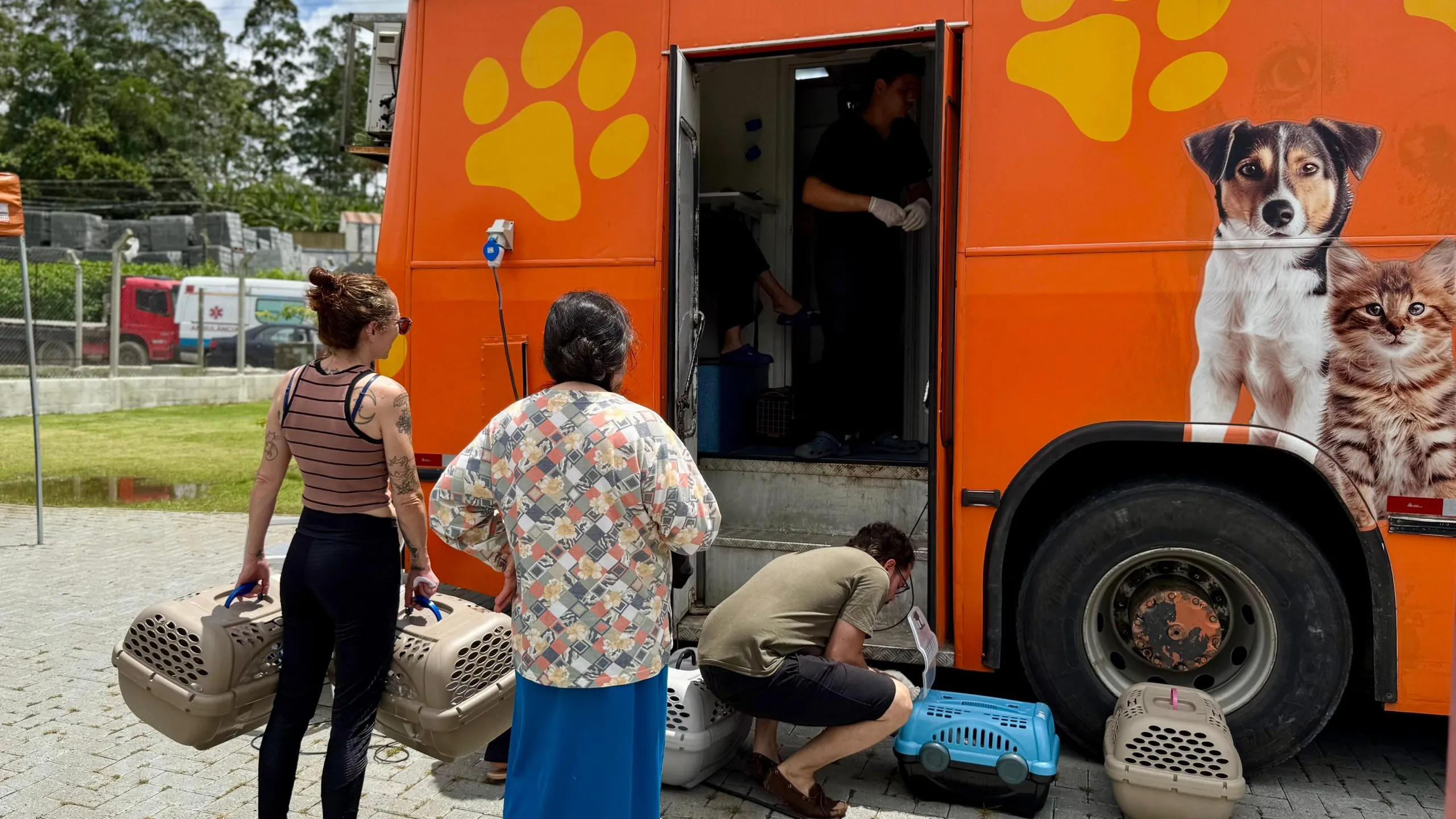 Programa de castração gratuita atende 422 animais em Arujá