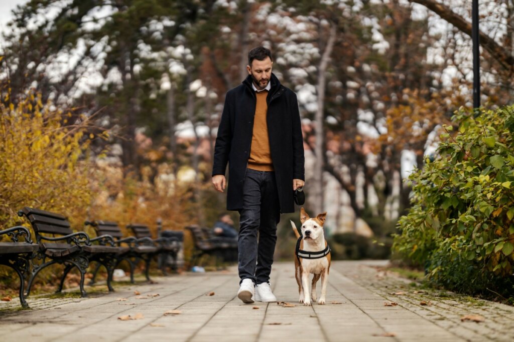 Homem passeando com um cachorro em um parque