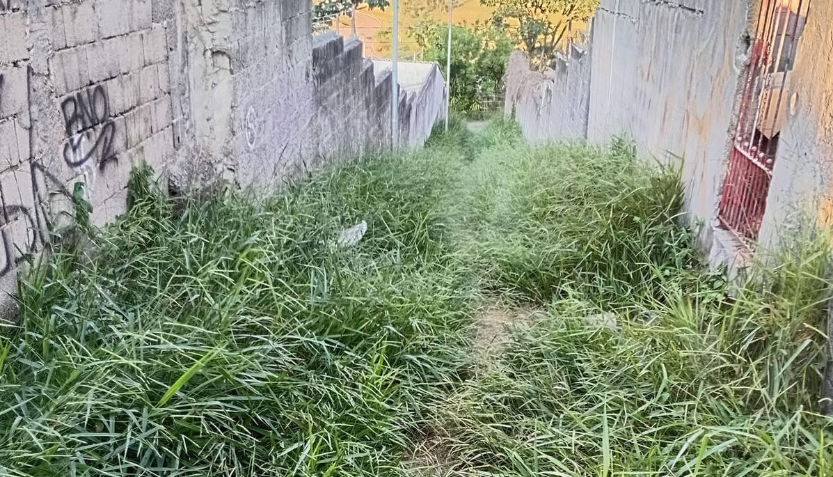 Moradora de Mogi das Cruzes reclama de vegetação alta em viela no Jardim Layr