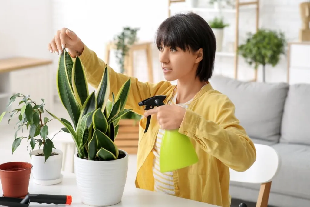 Feng Shui: 3 dicas essenciais para melhorar a energia da sua casa