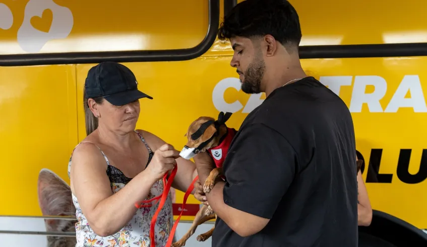 Festa do Divino de Mogi terá cadastro para castração gratuita de cães e gatos