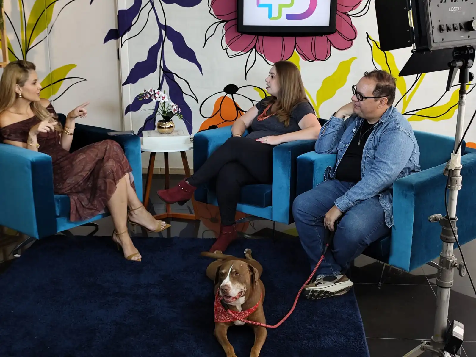 Mais Diário aborda os impactos da adoção responsável na vida de pets e tutores