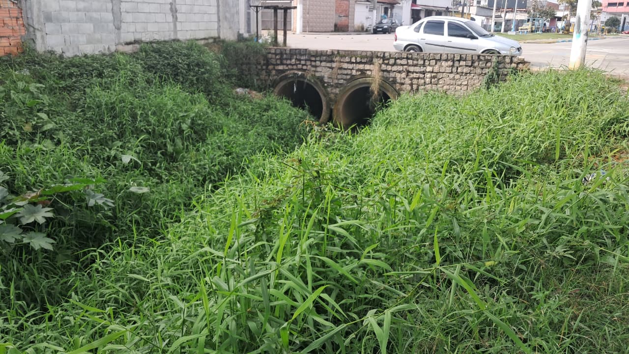 Suzano: moradores do Distrito de Palmeiras reclamam de falta de canalização, roçagem e descarte irregular em córrego