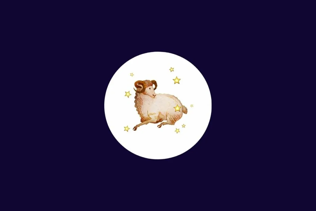 Tarot do dia: previsão para os 12 signos em 05/06/2026