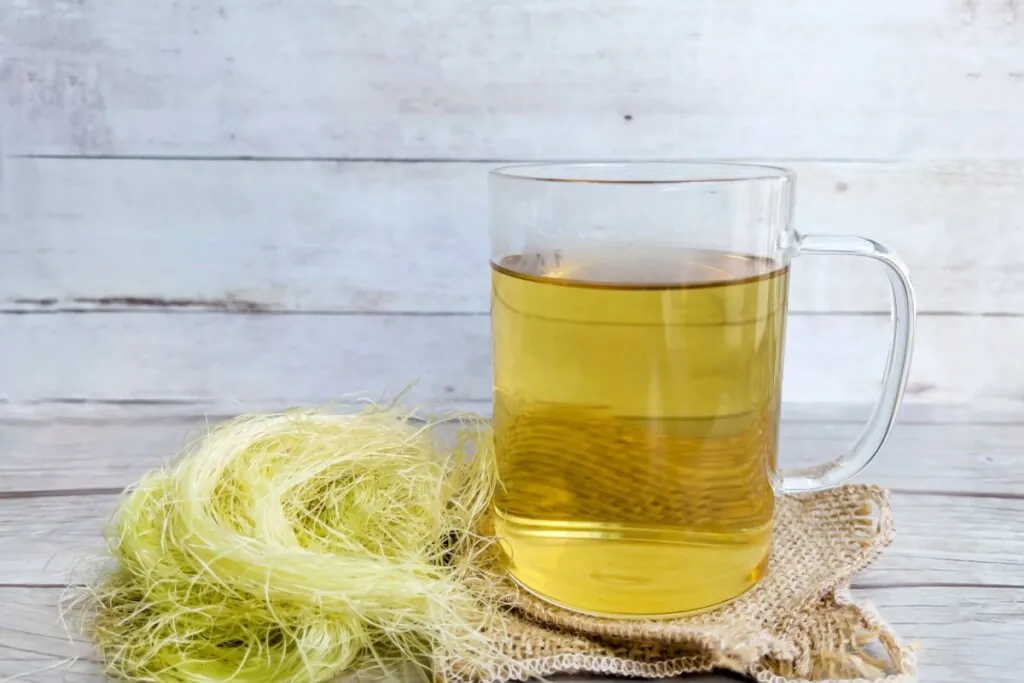 6 chás para os rins: veja opções naturais para complementar os cuidados com a saúde