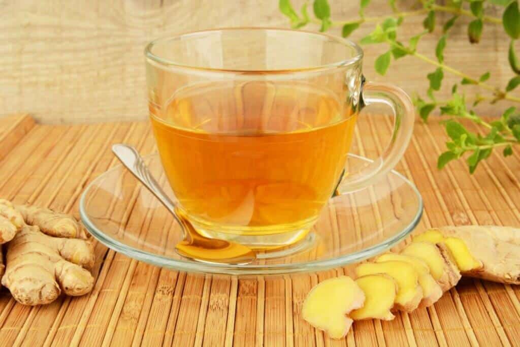 Para que serve o chá de carqueja? 3 receitas e os seus benefícios para a saúde