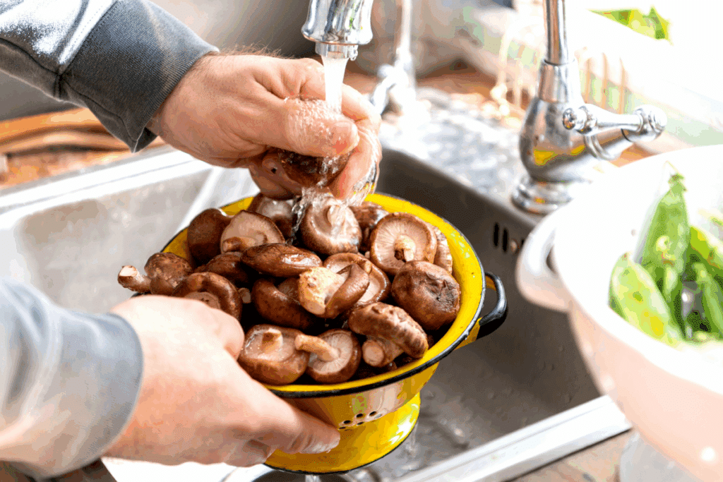 Cogumelos: conheça os principais tipos, benefícios e como incluí-los na dieta