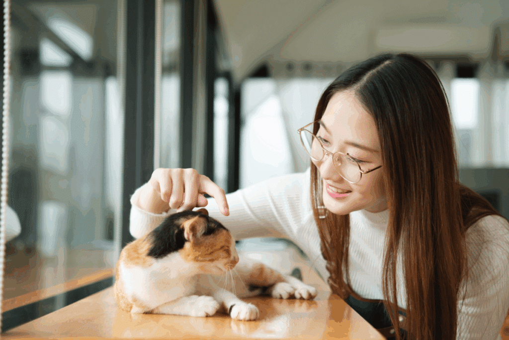 Gato, com pelagem branca, preta e bege, deitado. Mulher sorrindo e fazendo carinho em sua cabeça