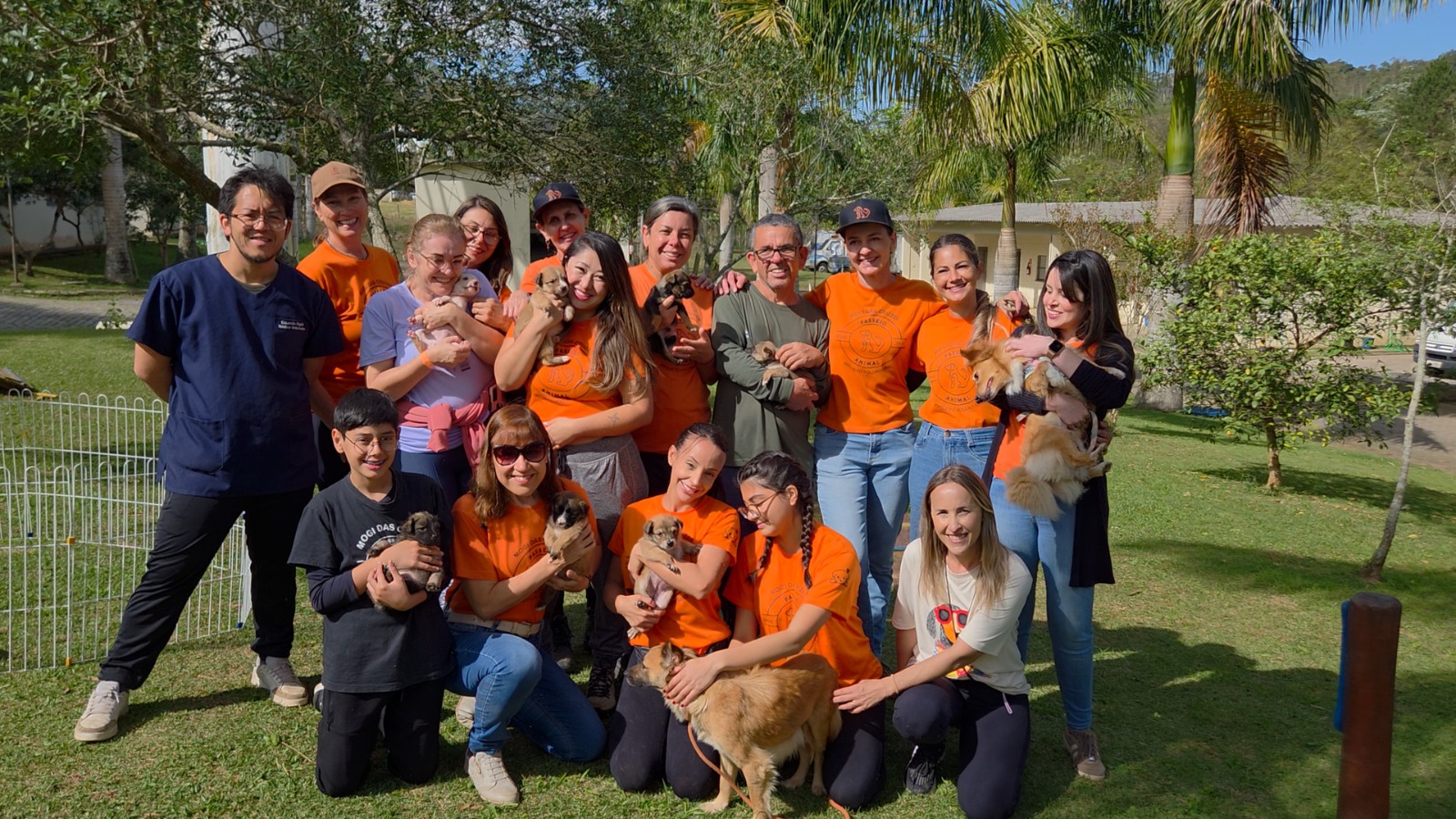 Compartilha deste sábado mostra projeto que leva cães acolhidos para passear em Mogi