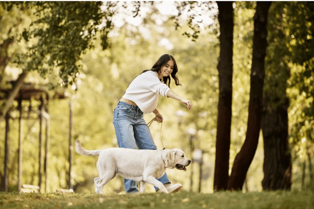 7 dicas para apresentar um filhote para um cachorro mais velho 
