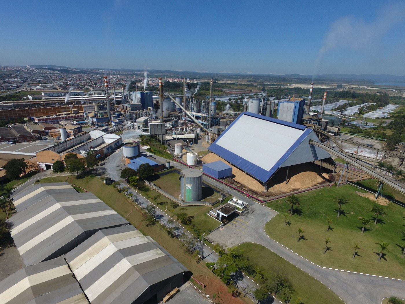 Empresa de papel e celulose abre vagas para Programa de Aprendiz em Suzano; saiba mais